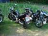 DSC00146.jpg