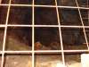 DSC00158.jpg