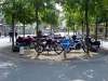 DSC00910.jpg