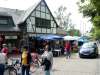 DSC00911.jpg