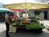 DSC00913.jpg