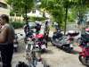 DSC00937.jpg