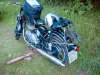 DSC03540.jpg