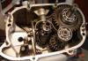 DSC04551lo.jpg