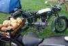 DSC05891.JPG