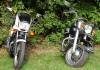 DSC05896.JPG