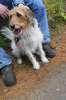 DSC02236.JPG