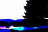 DSC02280.JPG