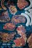 AW_20100604DS3_6462.jpg