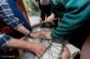 AW_20110319DS3_2175.jpg