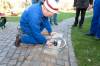 AW_20110319DS3_2330.jpg