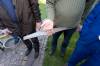 AW_20110319DS3_2334.jpg