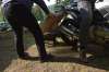 Komprimiert_DSC_1897.jpg