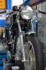 Komprimiert_DSC_1921_28229.jpg